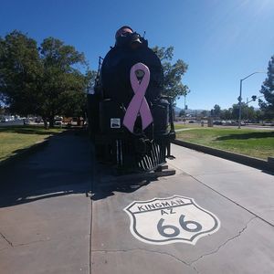 Meet your Posher, Bridgett